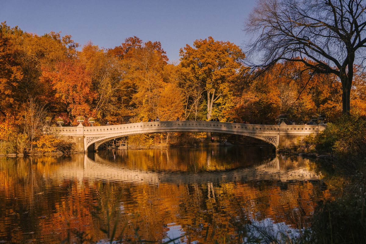 New York State Parks: Same Day Reservations For Adventure!