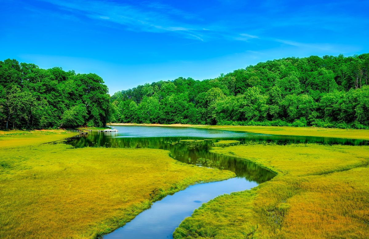 Why Georgia State Parks Are Popular For Camping Trips